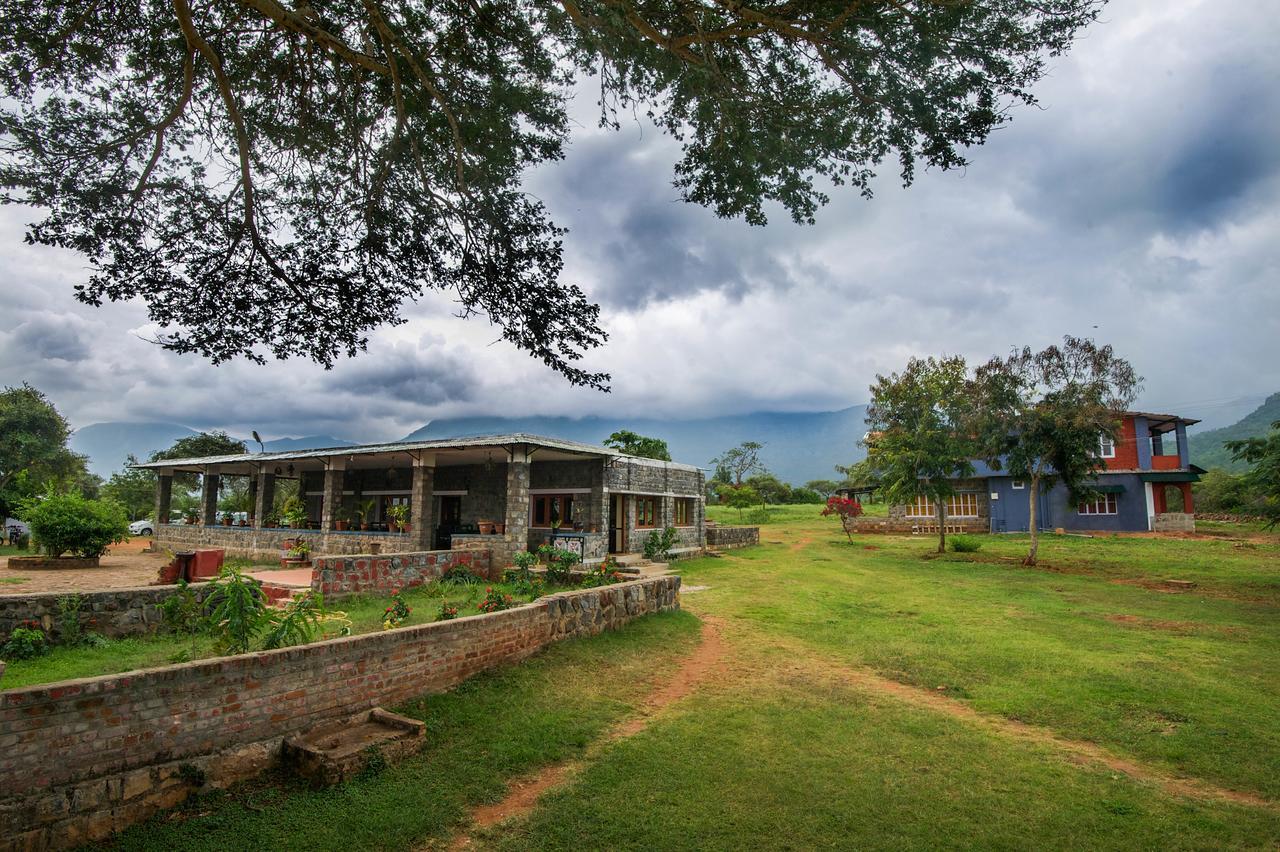 Wild Haven Masinagudi Ngoại thất bức ảnh